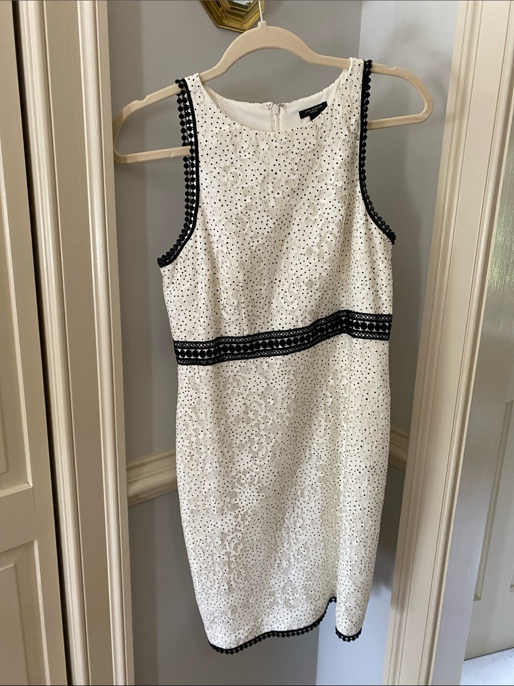 Ann Taylor White Eyelet Midi Dress with Black Trim